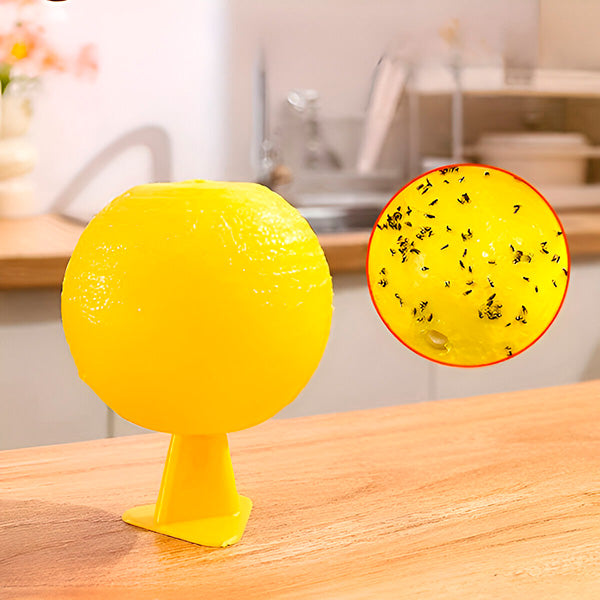 Eco-Friendly Hanging Insect Trap (Set of 6)