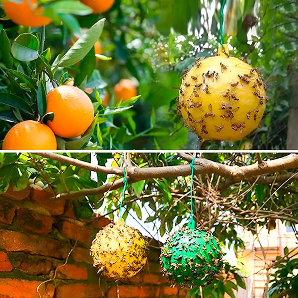 Eco-Friendly Hanging Insect Trap (Set of 6)