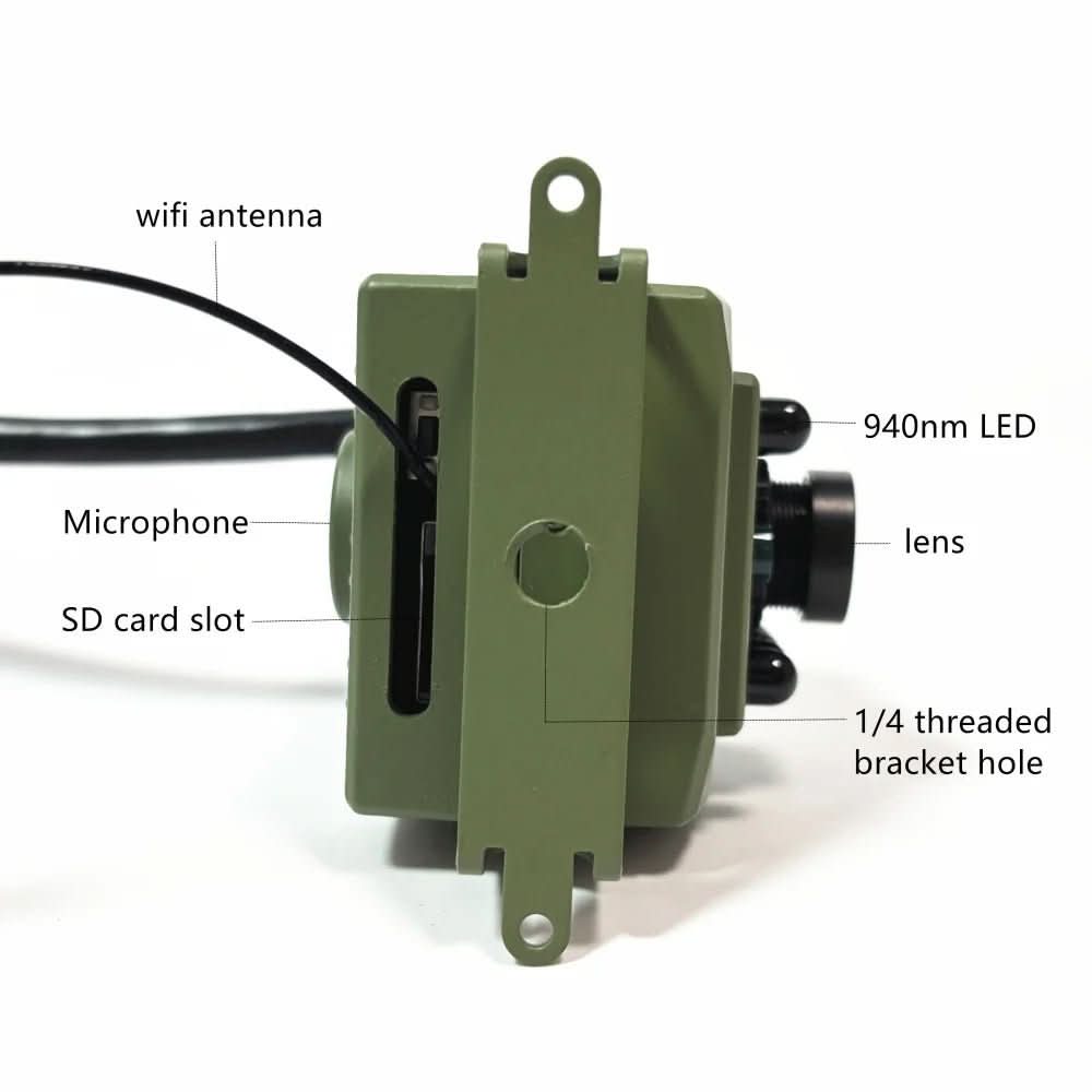 NatureWatch 1080p HD Smart Bird Observation Camera