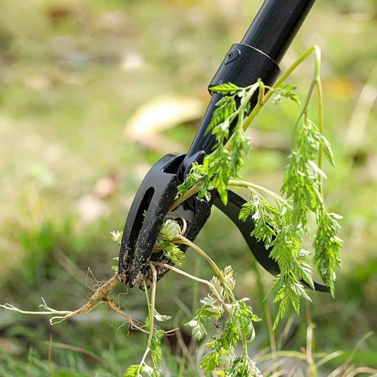EcoTiller | Premium Weed Extractor with Steel Tip | Effortless Soil Management