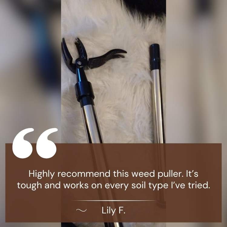 EcoTiller | Premium Weed Extractor with Steel Tip | Effortless Soil Management