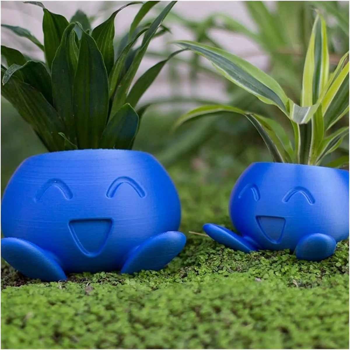 Quirky Planter for Succulents - Unique Design Pot