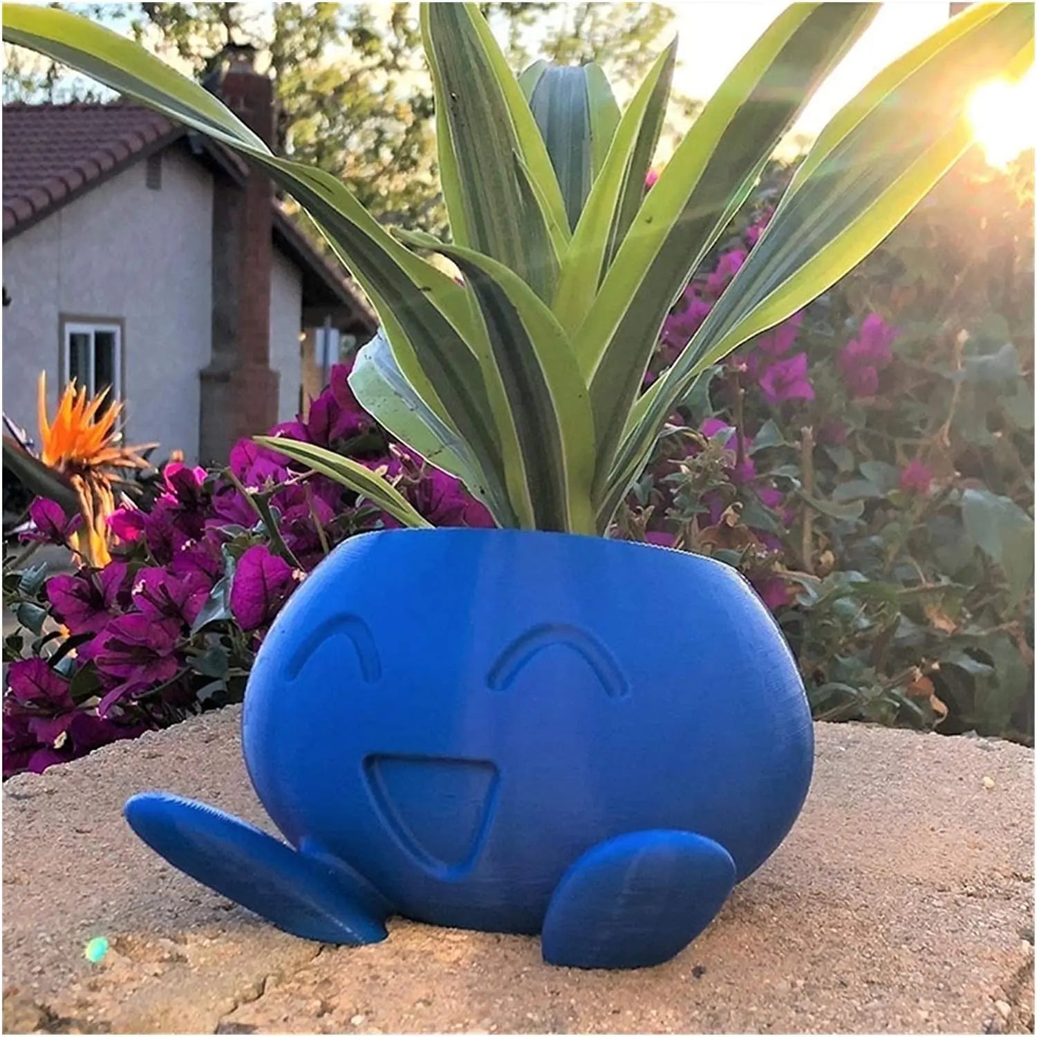 Quirky Planter for Succulents - Unique Design Pot