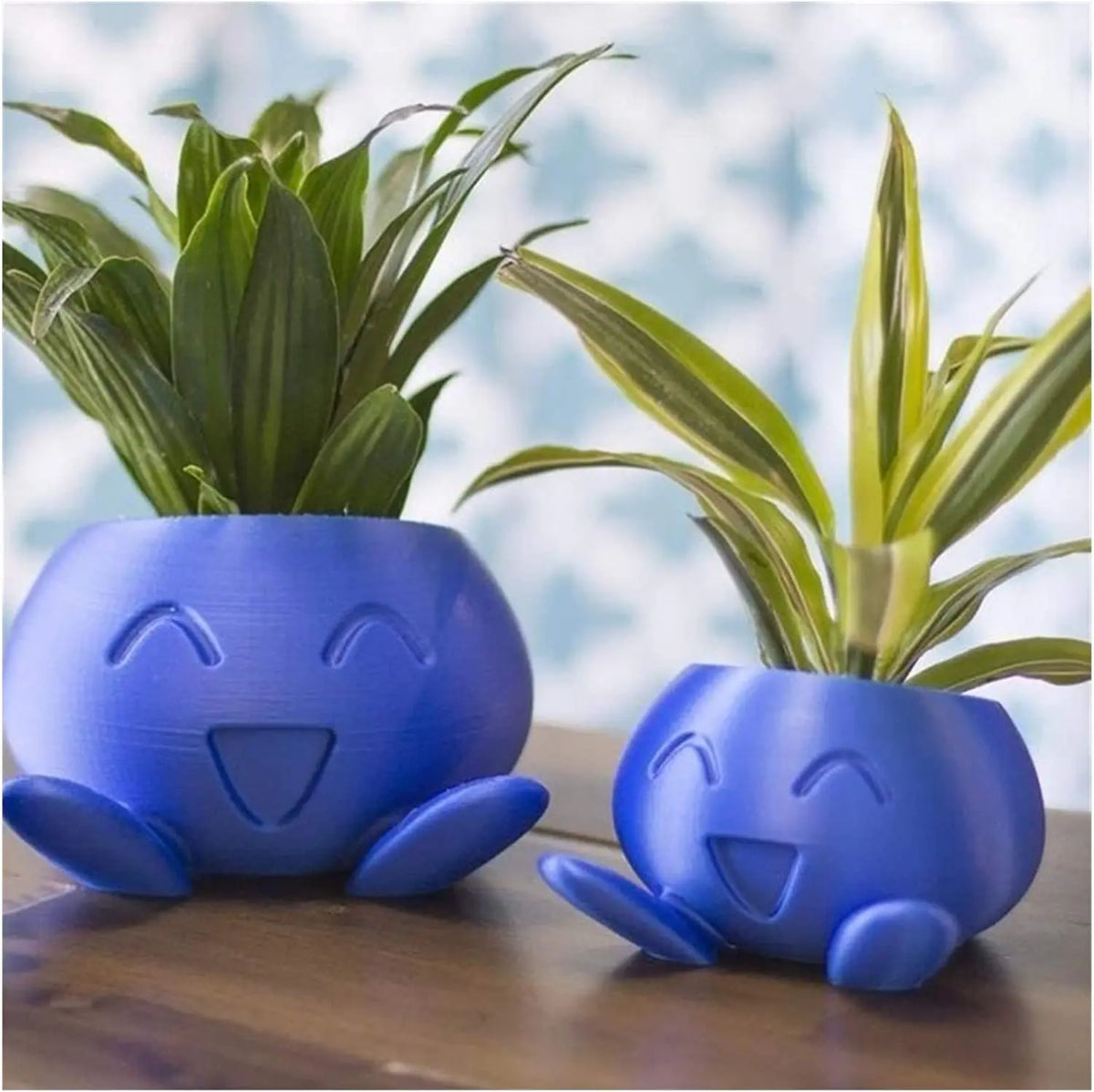 Quirky Planter for Succulents - Unique Design Pot