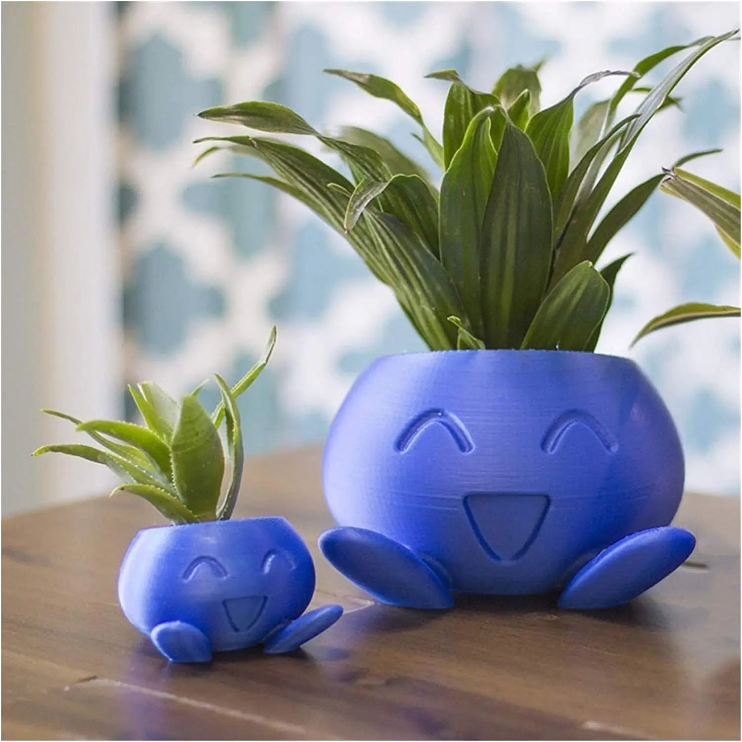 Quirky Planter for Succulents - Unique Design Pot