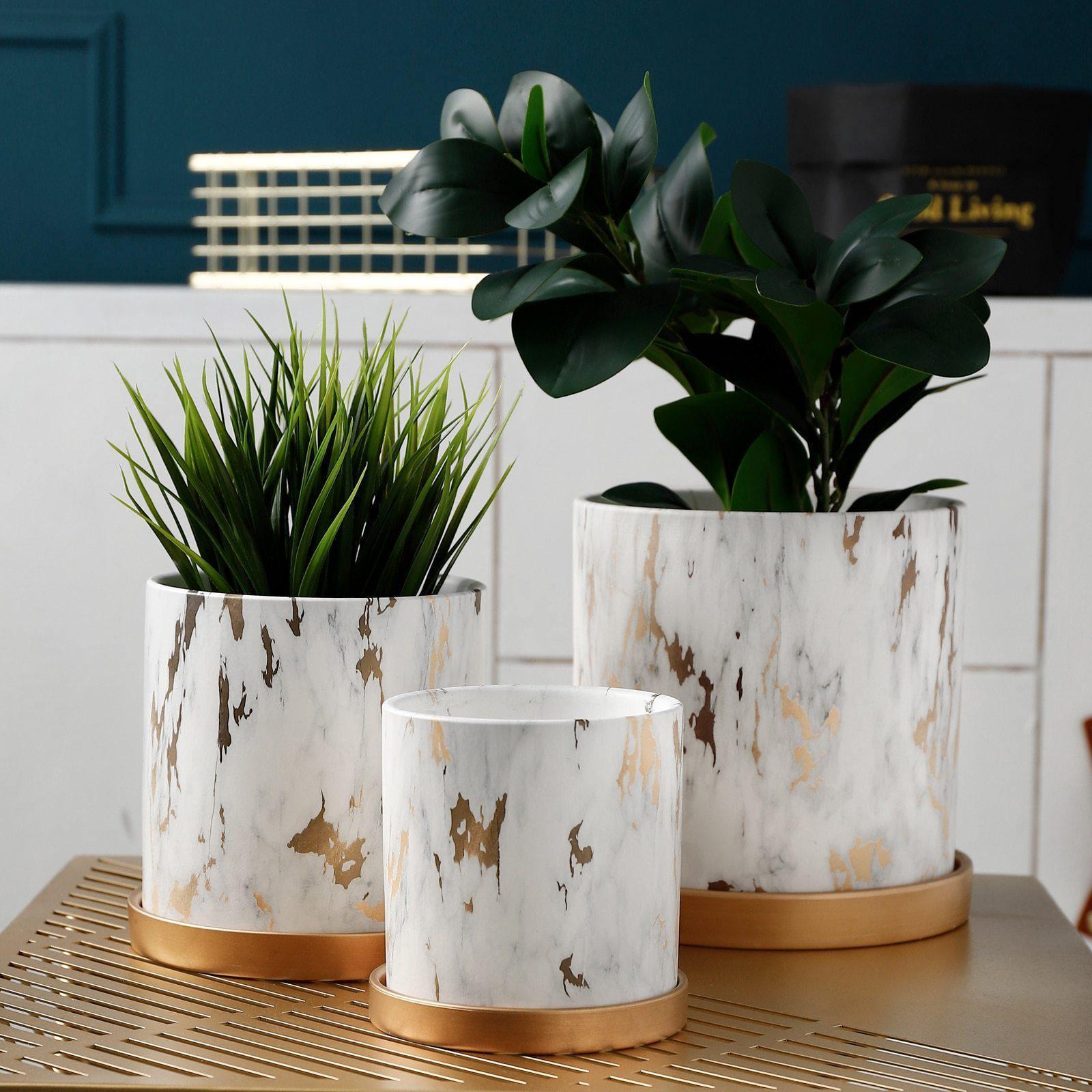 Elegant Gold Finish Indoor Planter Collection