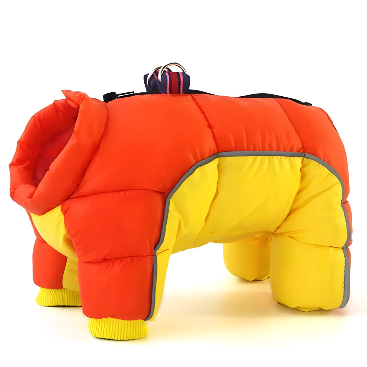 All-Weather Dog Jacket with Reflective Safety Features