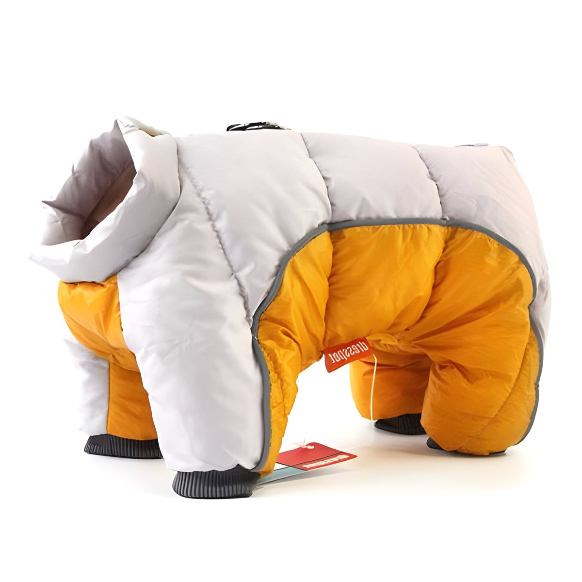 All-Weather Dog Jacket with Reflective Safety Features
