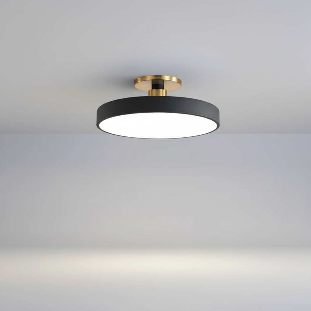 Flush Mount LED Ceiling Fixture