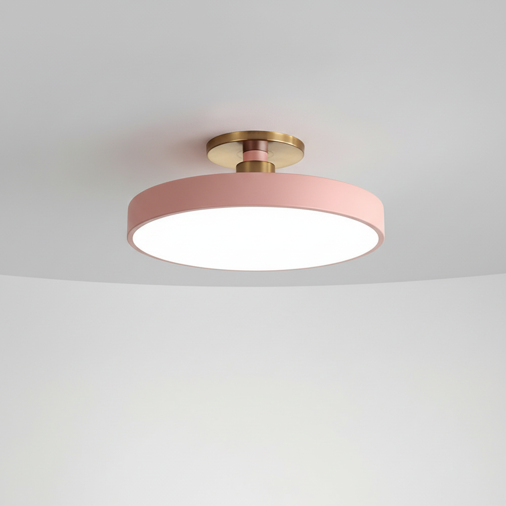 Flush Mount LED Ceiling Fixture