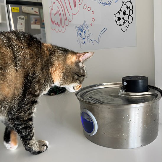 Portable Pet Hydration Station | Cordless & Long-Lasting