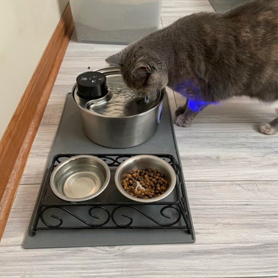 Portable Pet Hydration Station | Cordless & Long-Lasting