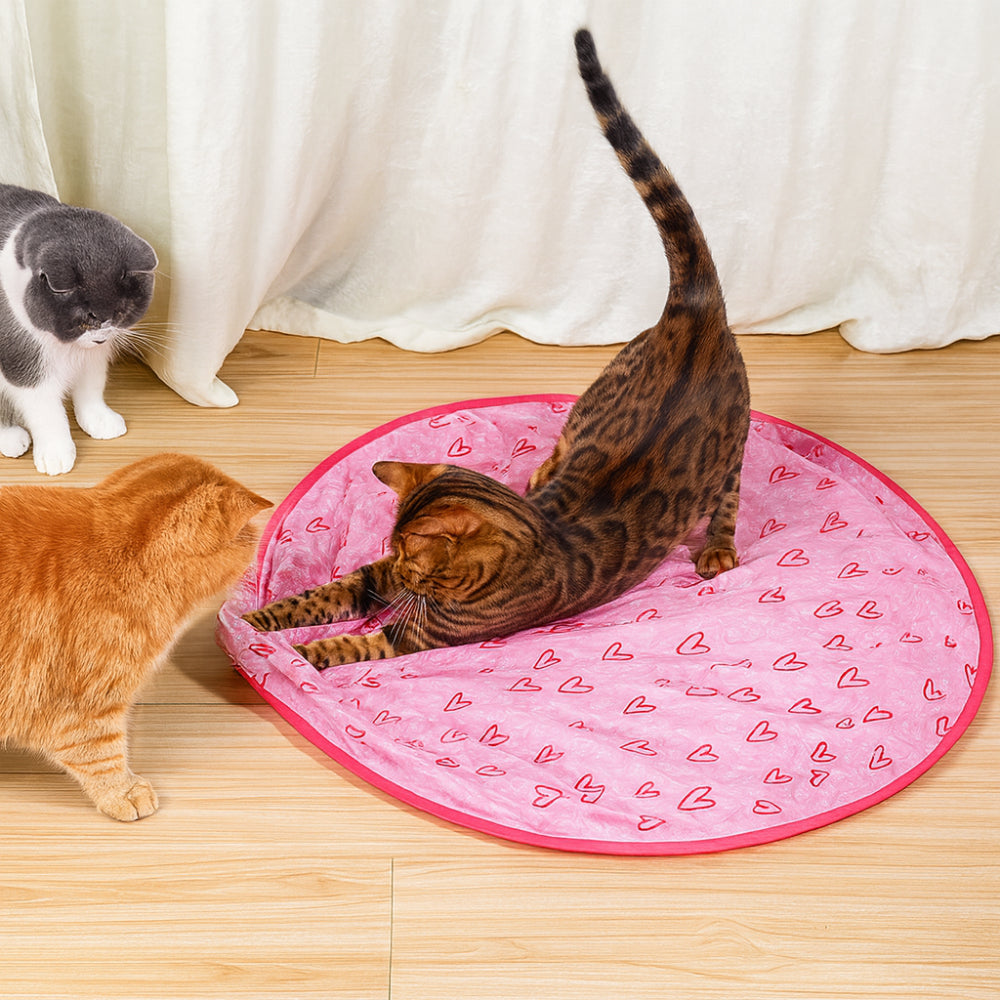 Exciting Cat Activity Mat with Rolling Ball for Playful Kitties