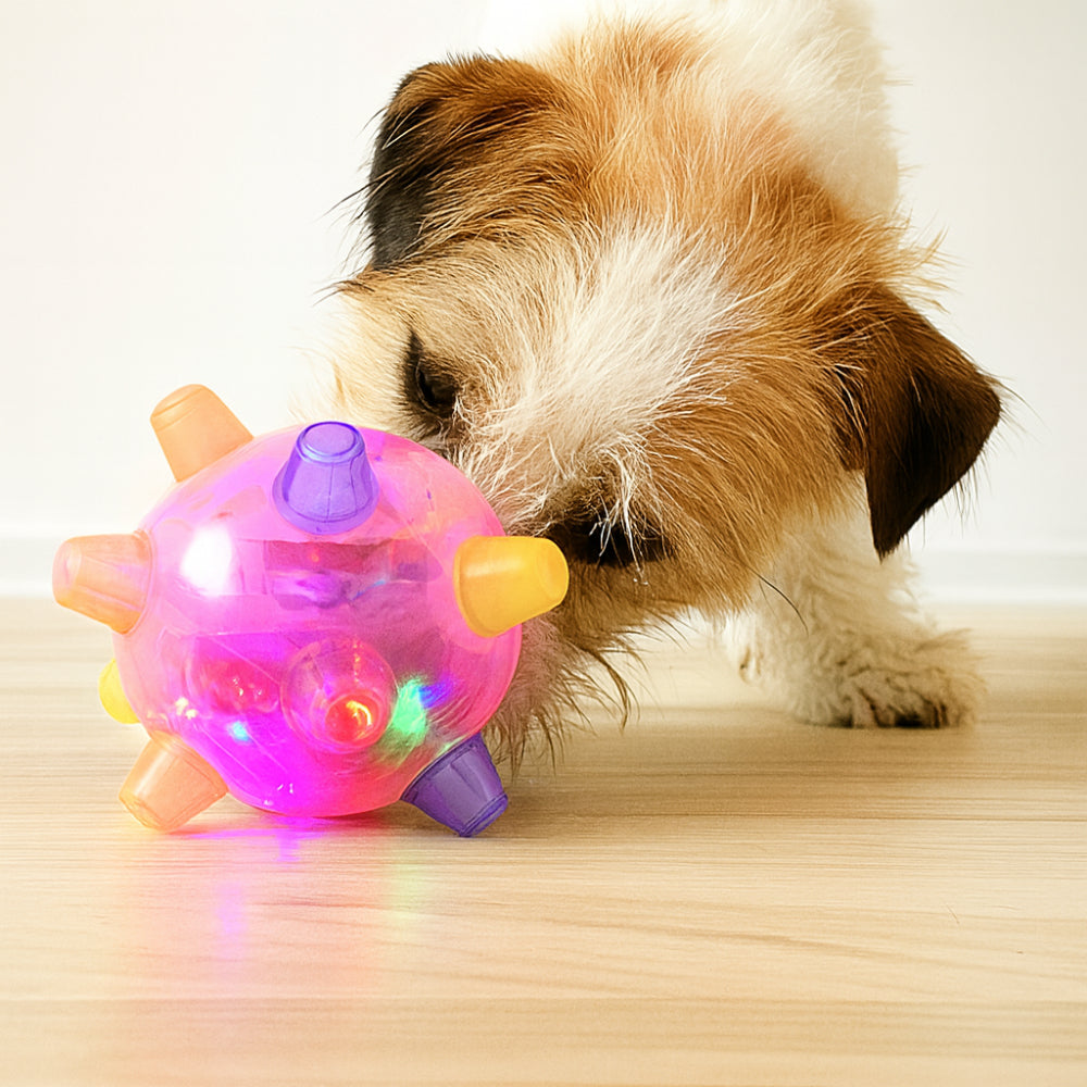 Dynamic LED Play Ball for Energetic Dogs | Lights & Motion