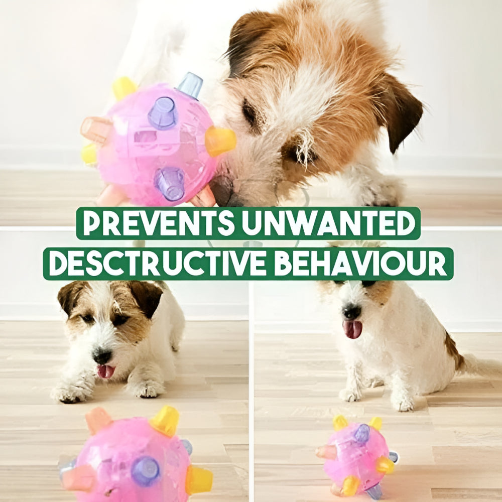 Dynamic LED Play Ball for Energetic Dogs | Lights & Motion