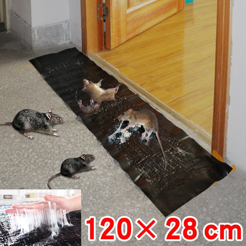 Extra-Large Non-Toxic Pest Trap for Ultimate Control