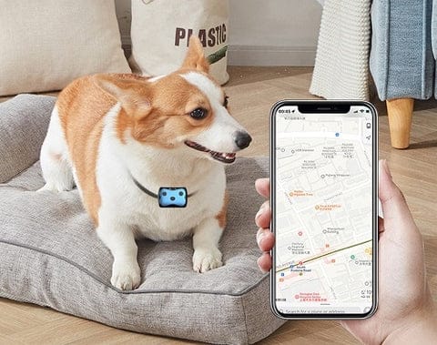 Reliable Pet GPS Locator | Real-Time Tracking Collar