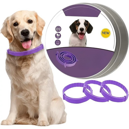 Serenity Pet Collar – Natural Stress Relief for Your Furry Friends