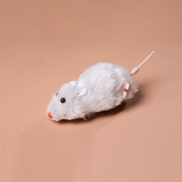 Interactive Feline Fun: Battery-Powered Racing Mouse