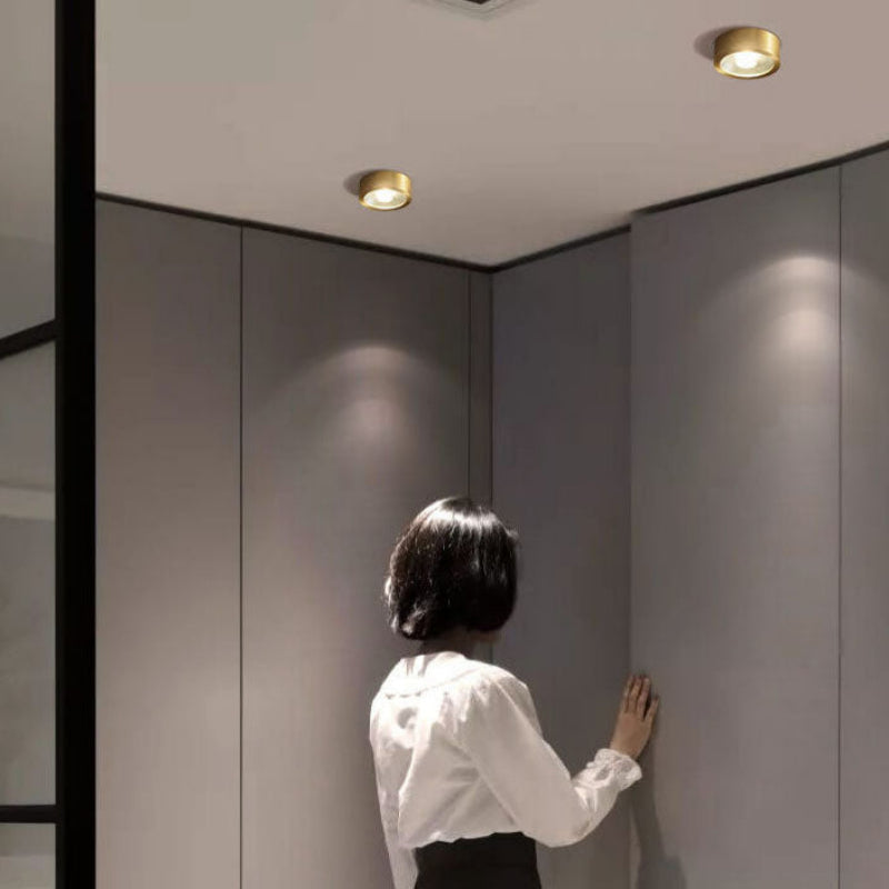 Elegant Surface-Mount LED Ceiling Light with Versatile Finishes
