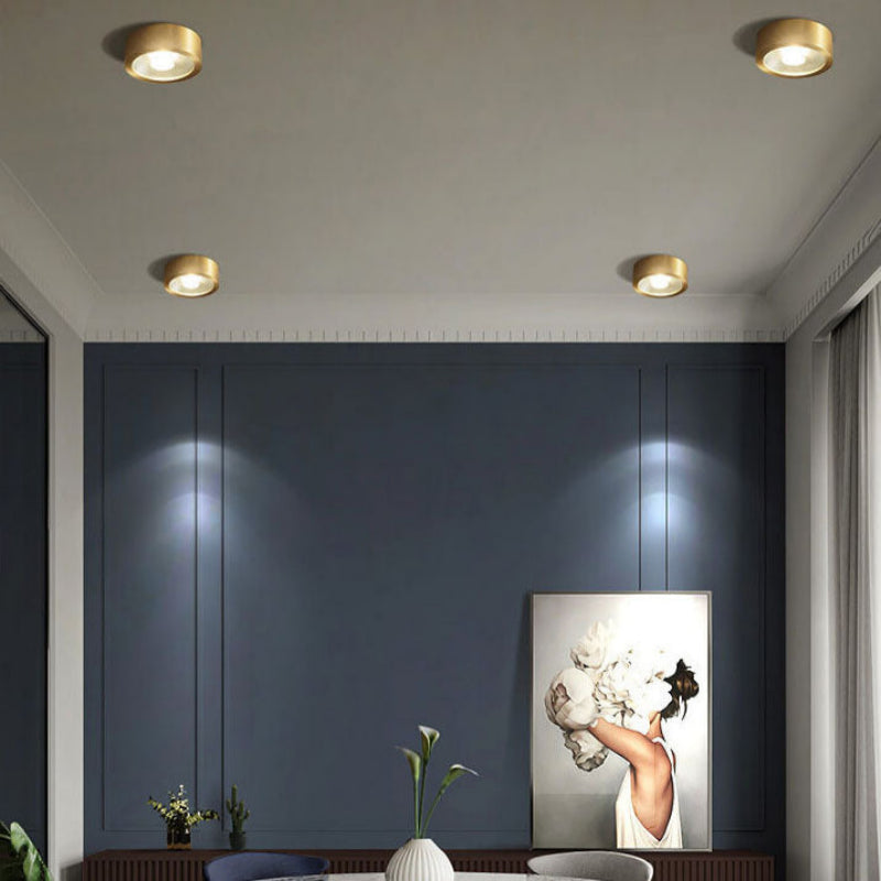 Elegant Surface-Mount LED Ceiling Light with Versatile Finishes
