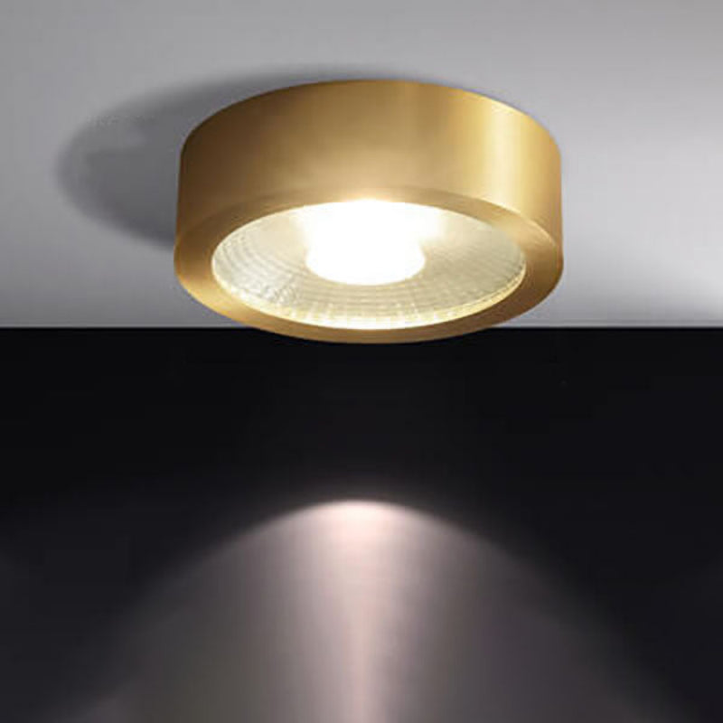 Elegant Surface-Mount LED Ceiling Light with Versatile Finishes