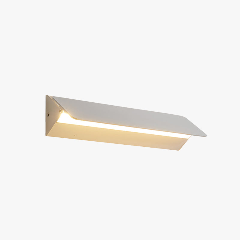 Adjustable Indoor LED Wall Light with Dual Color Options