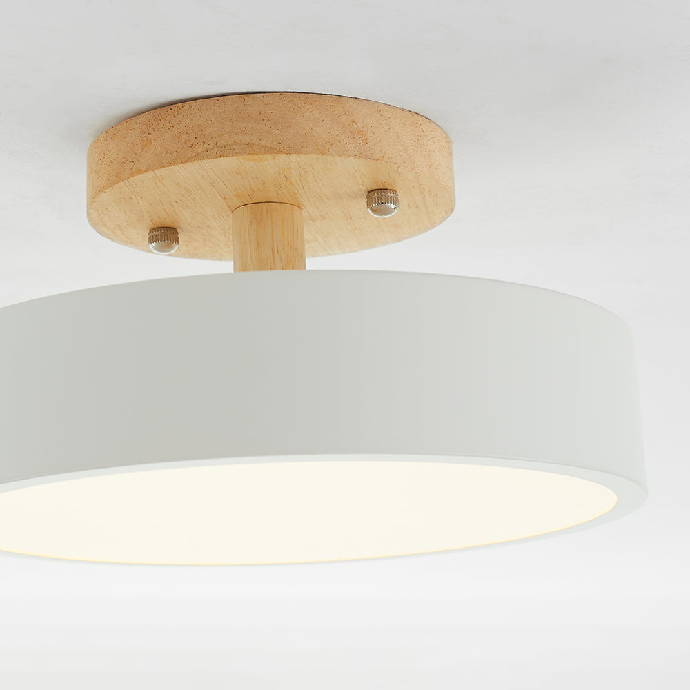 Contemporary Ceiling Light Fixture with LED Technology