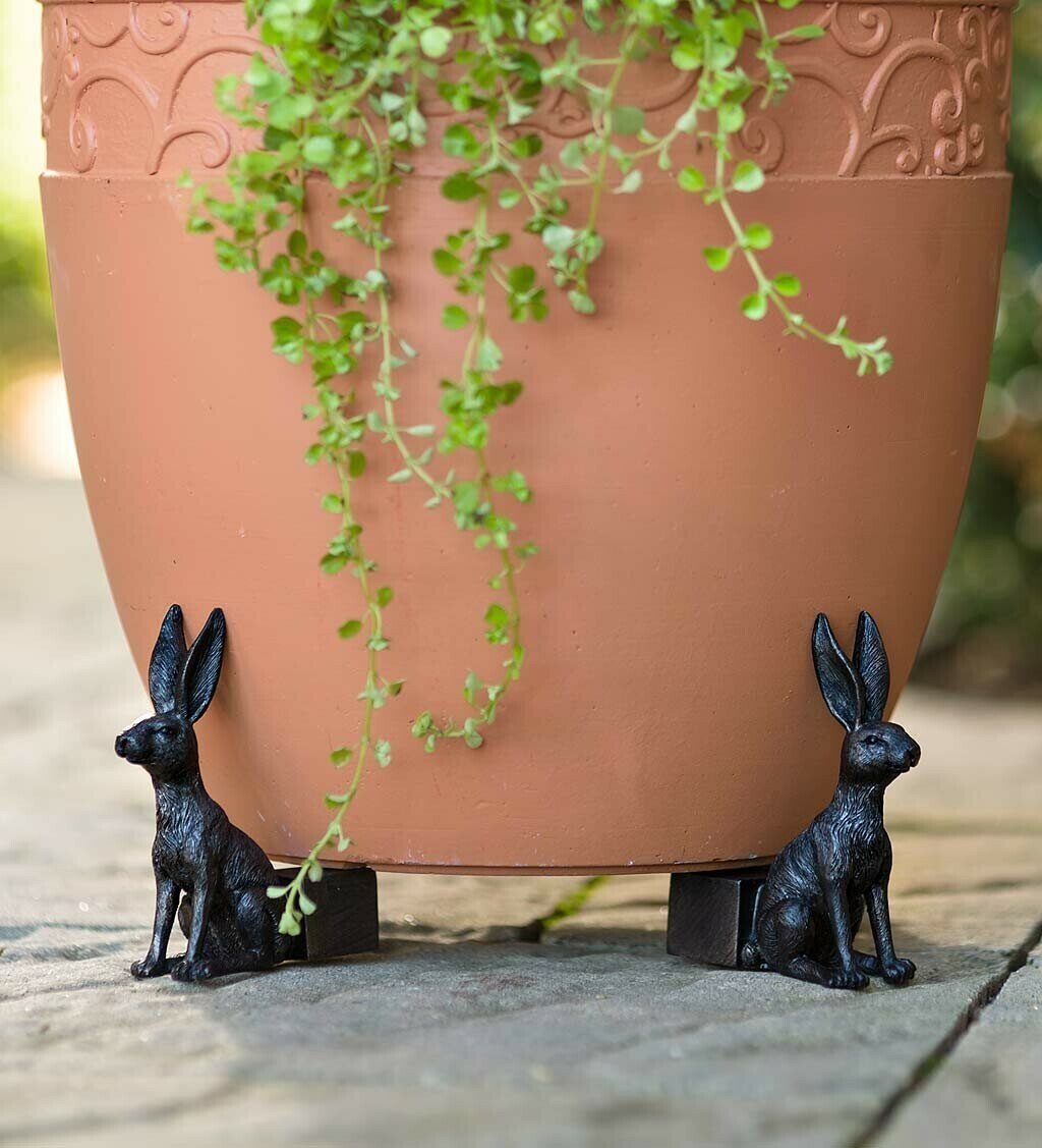 Charming Pot Elevators for Optimal Plant Health