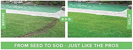 Revitalize Your Lawn | Fast-Acting Grass Seed Spray for Thriving Greenery