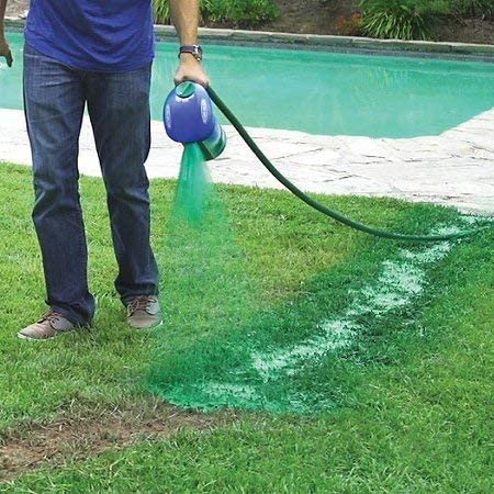 Revitalize Your Lawn | Fast-Acting Grass Seed Spray for Thriving Greenery