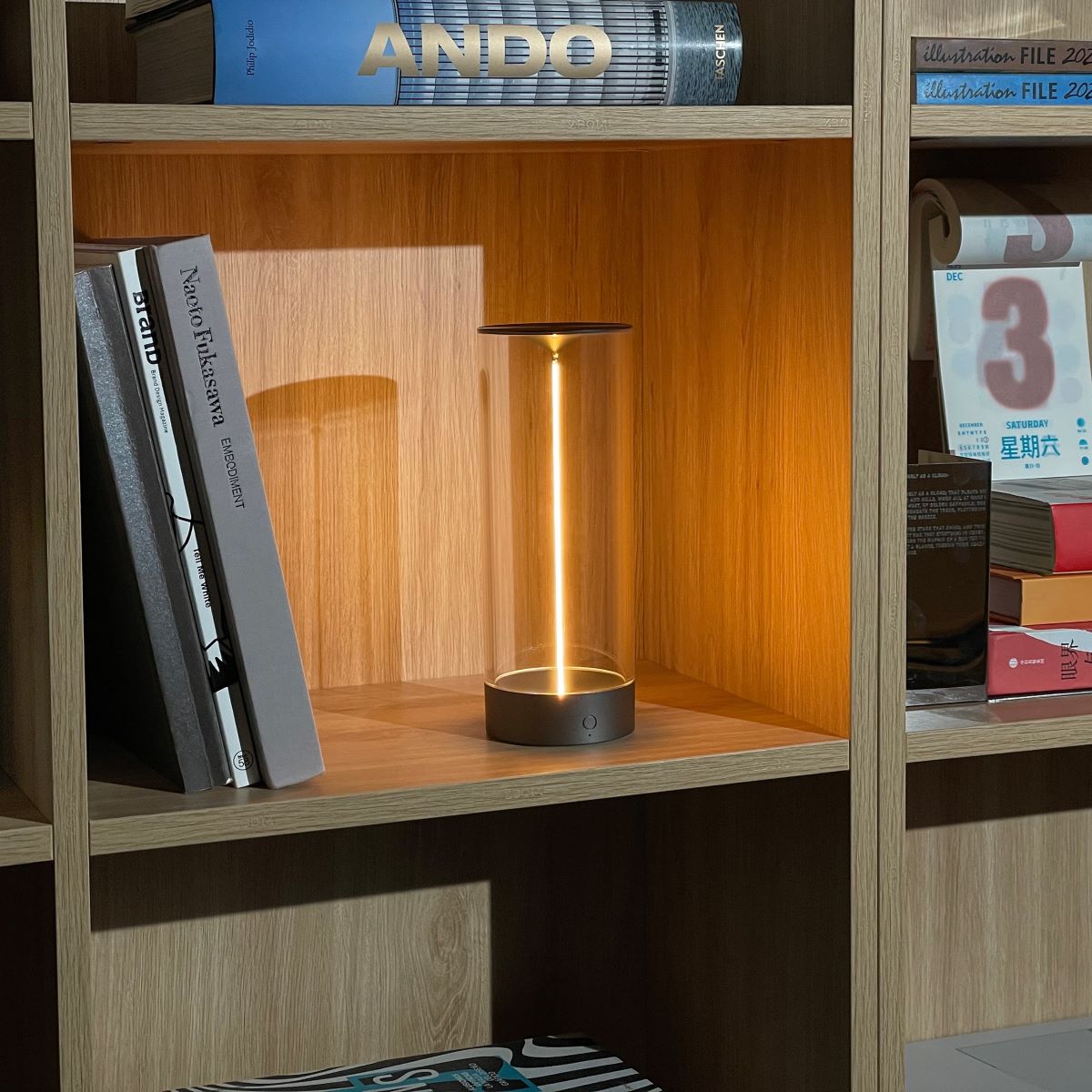 LED Mood Lighting – Cordless Decorative Lamp