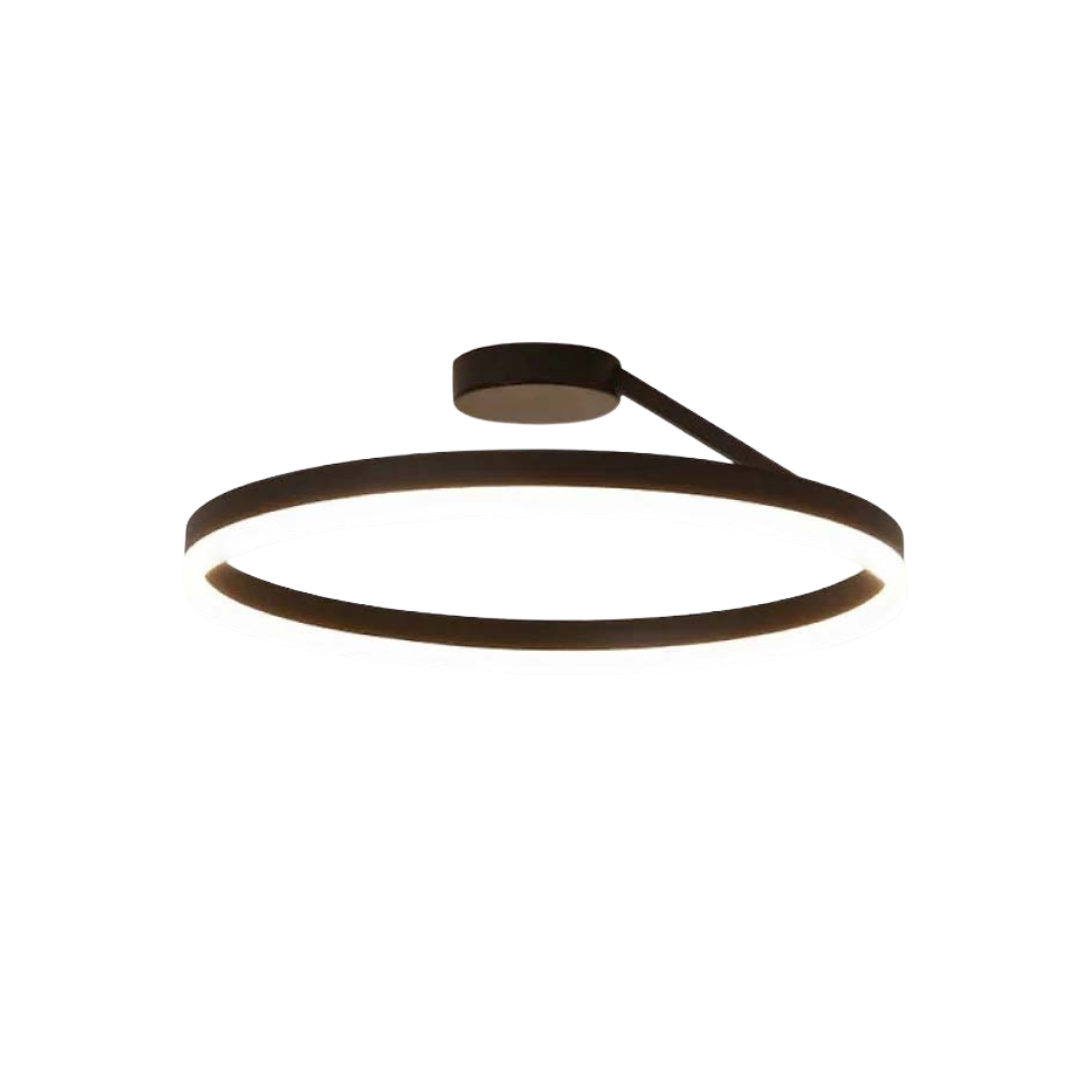 Contemporary LED Ceiling Light Fixture