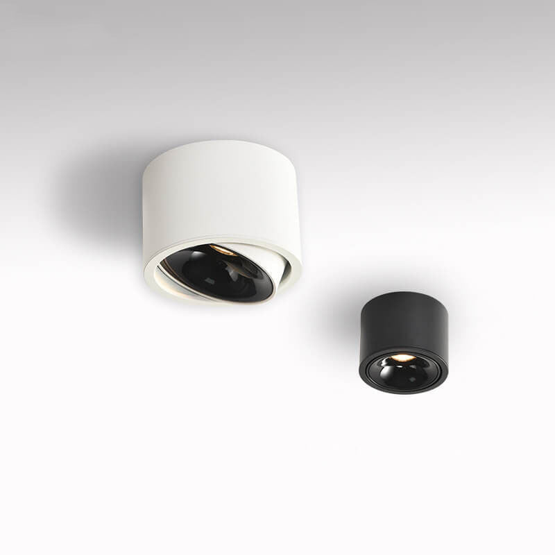 Elegant Adjustable LED Ceiling Light for Any Room