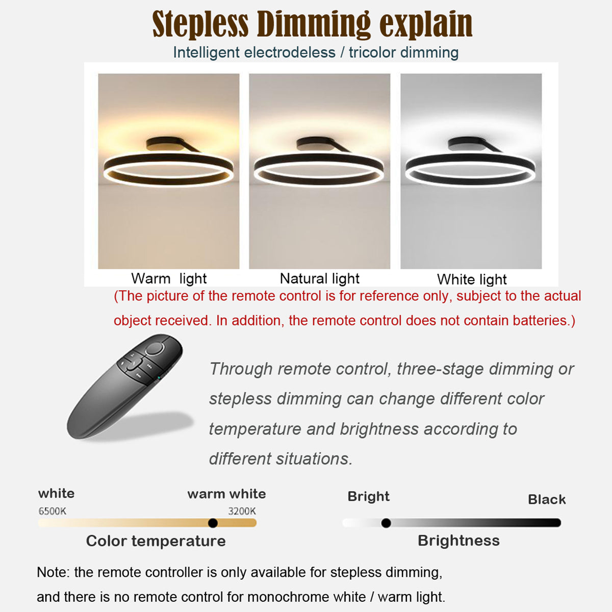 Contemporary LED Ceiling Light Fixture