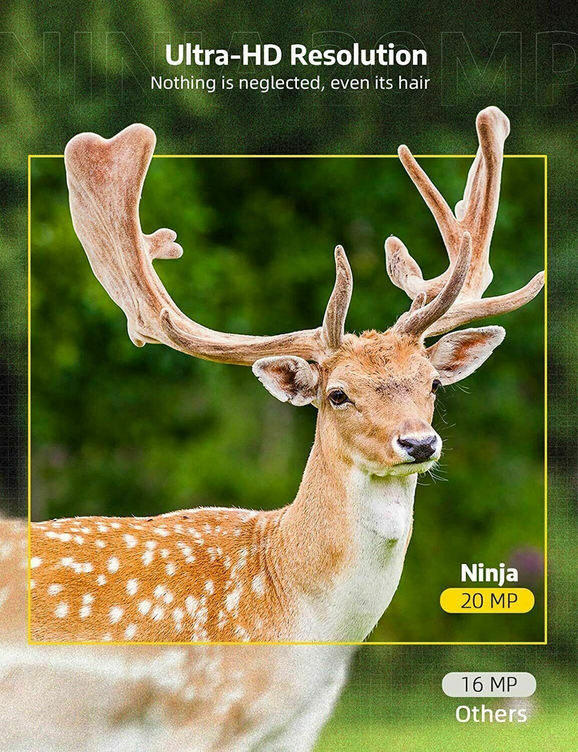 High-Definition Wireless Wildlife Monitoring Camera with Night Vision
