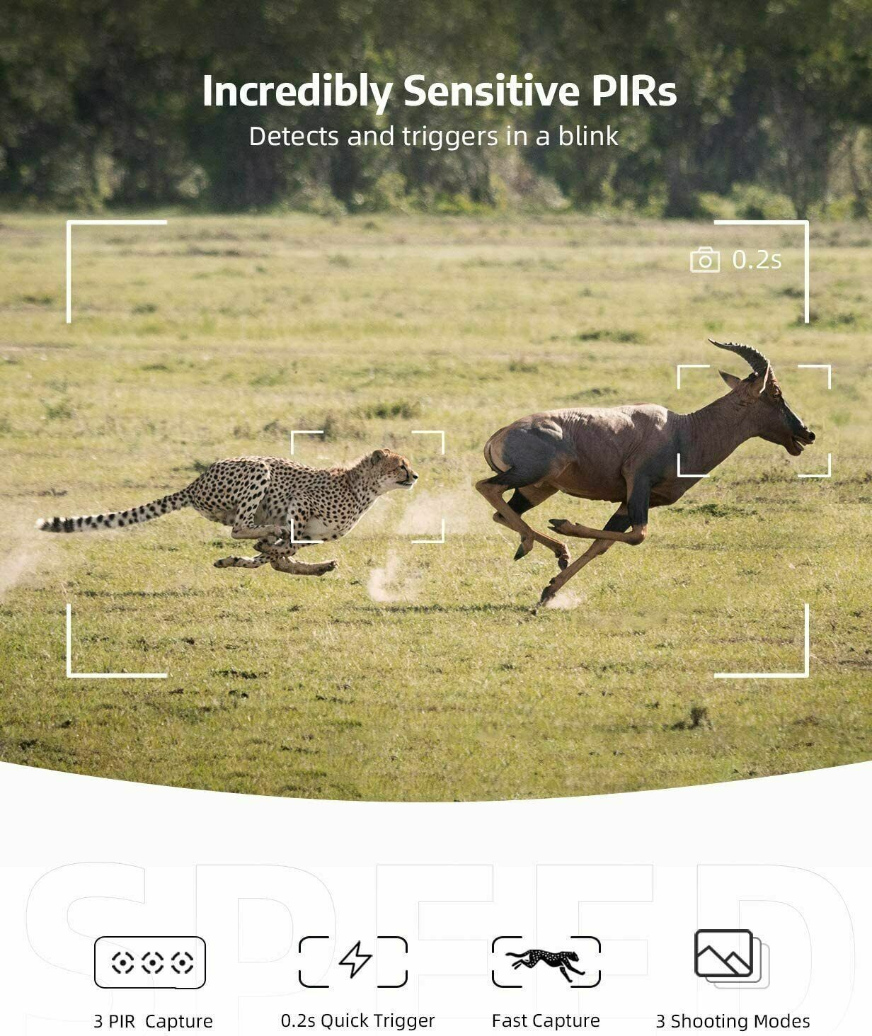 High-Definition Wireless Wildlife Monitoring Camera with Night Vision