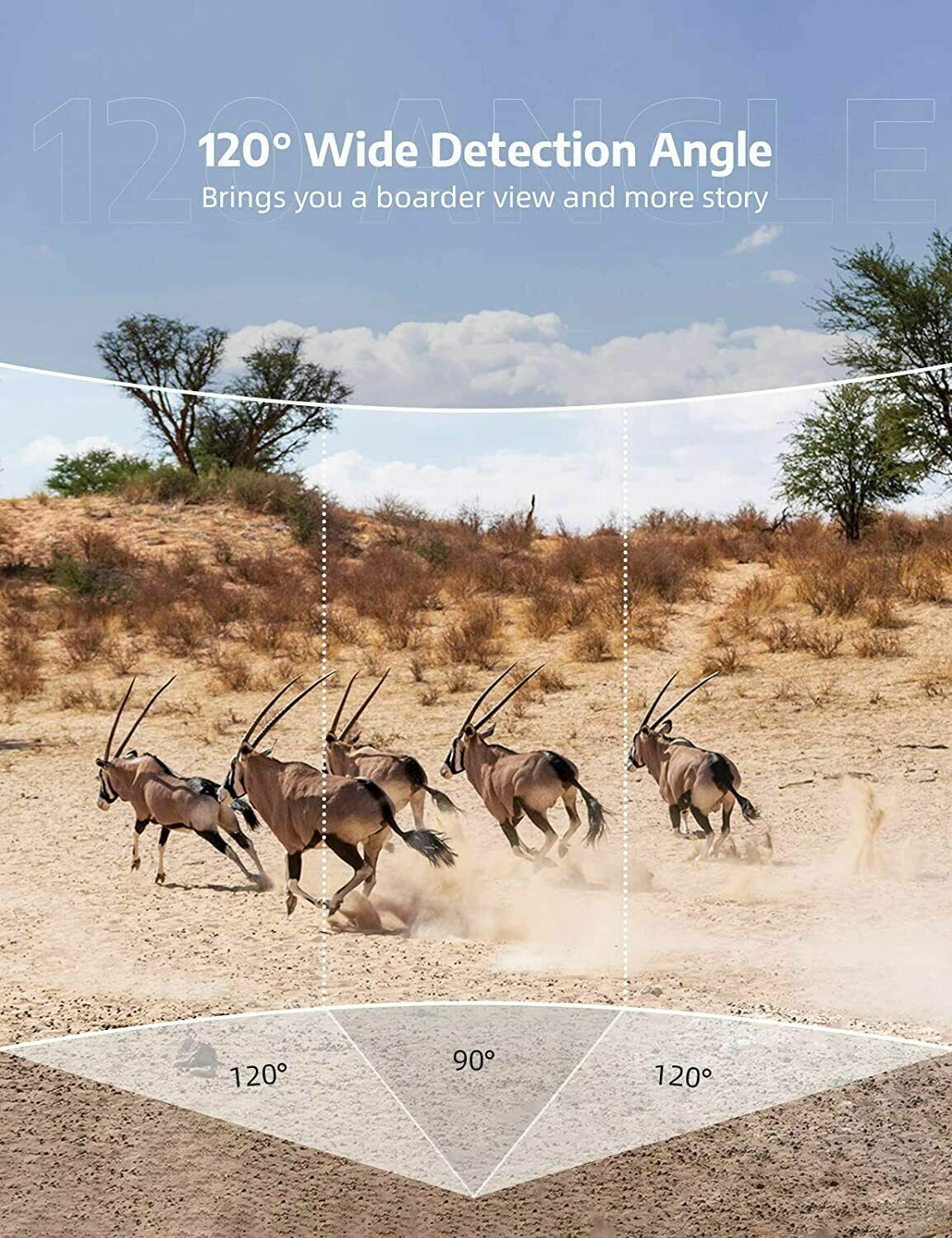 High-Definition Wireless Wildlife Monitoring Camera with Night Vision
