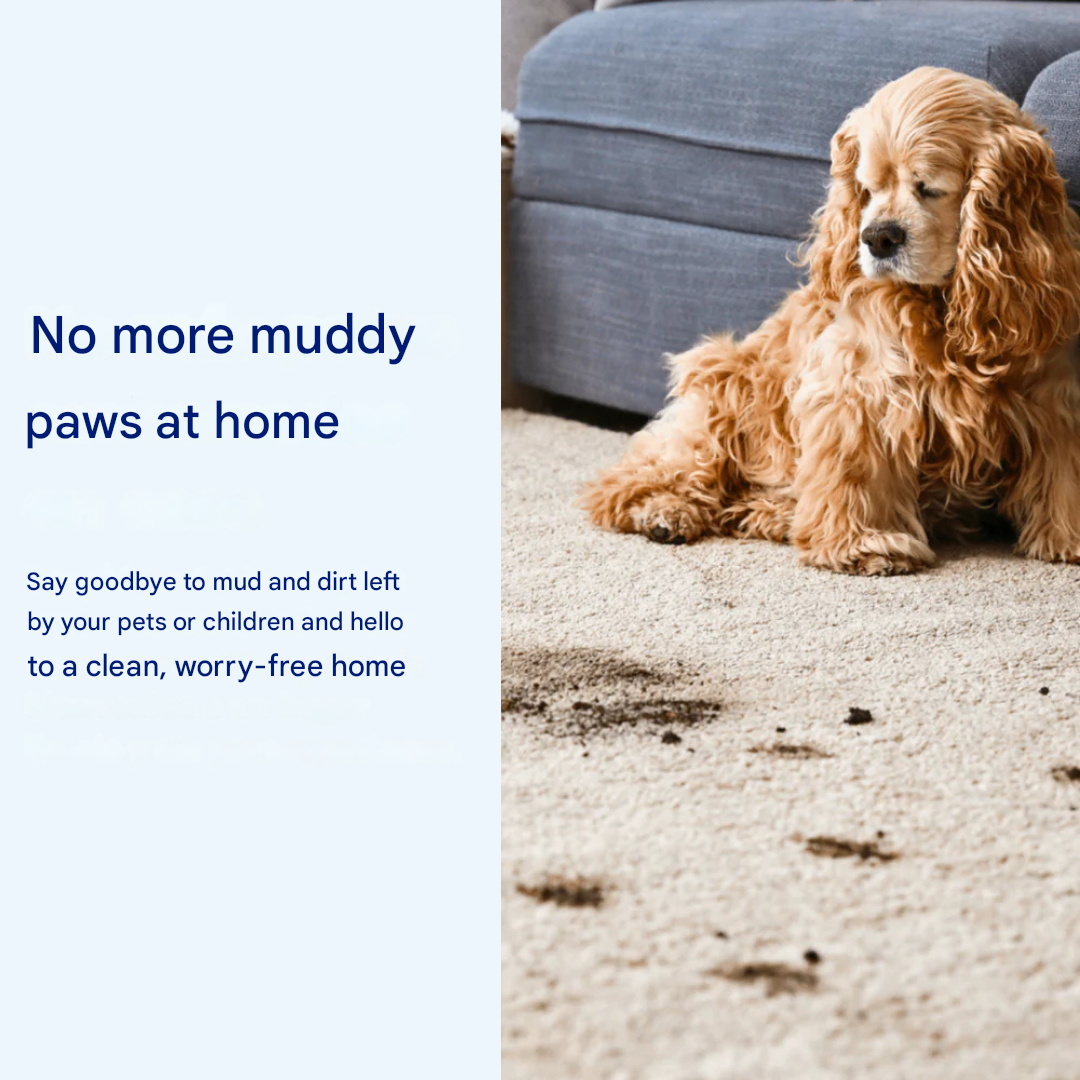 Absorbent Dog Floor Mat for Easy Cleanup – Paw Protection