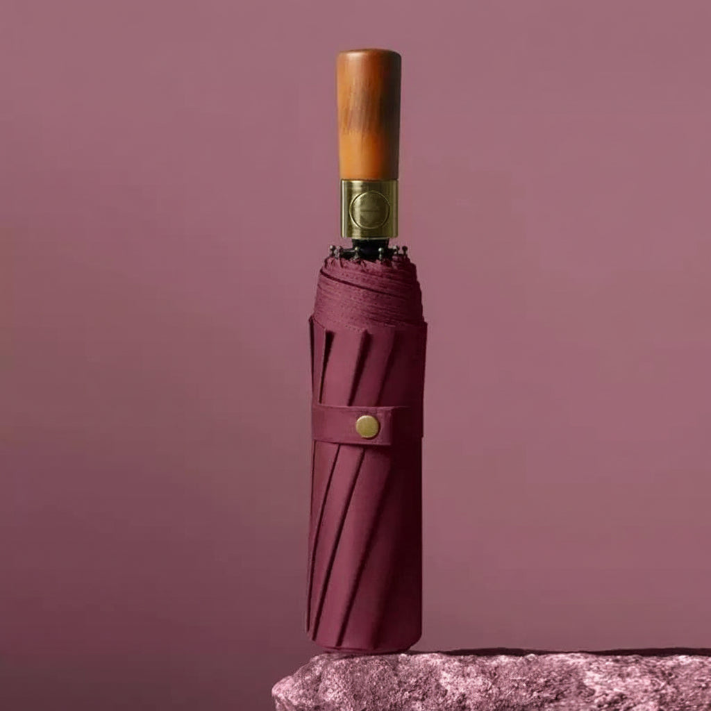 RainGuard – Fully Automatic Folding Umbrella