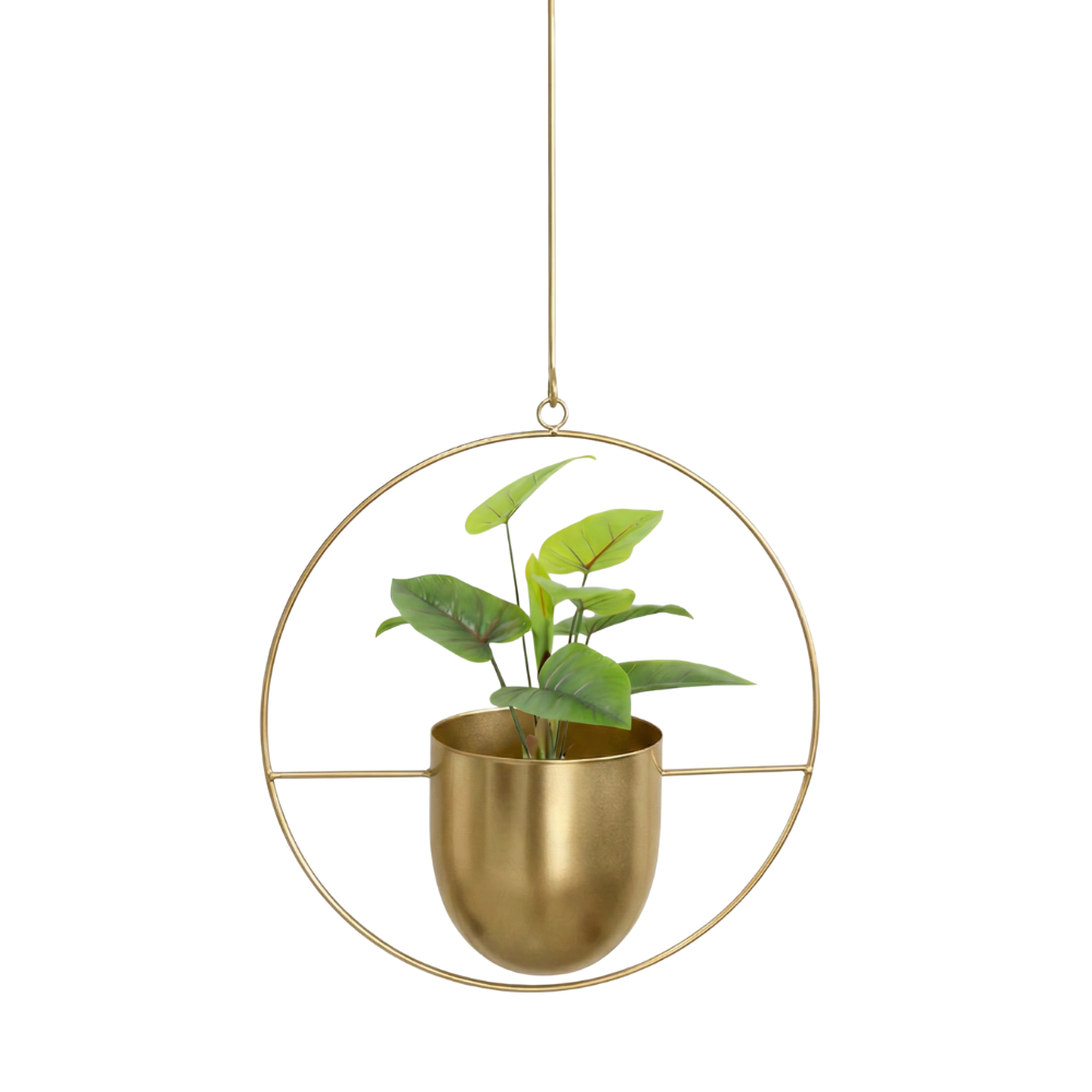 Stylish Hanging Planter with Chain and Hook for Indoor/Outdoor Use