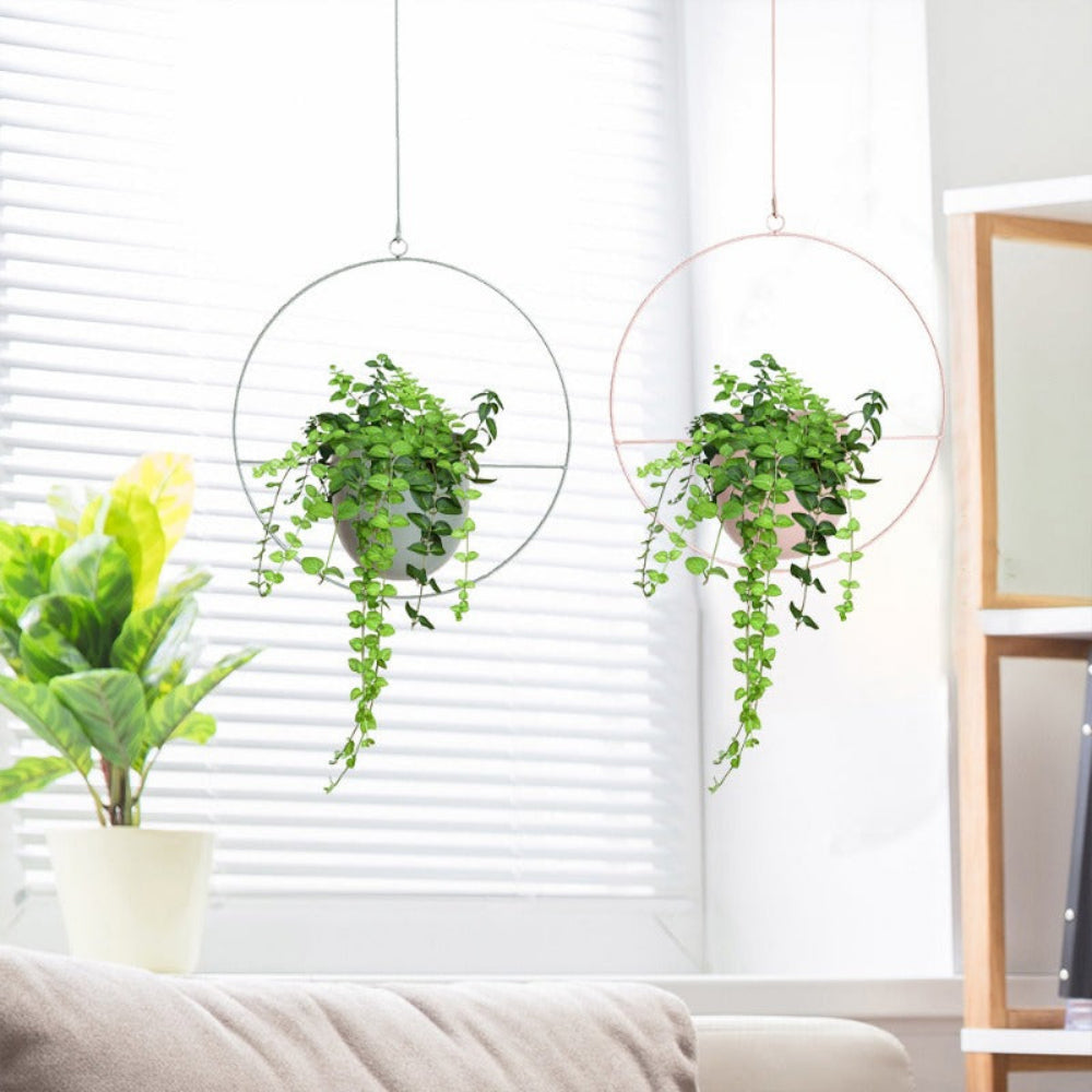 Stylish Hanging Planter with Chain and Hook for Indoor/Outdoor Use