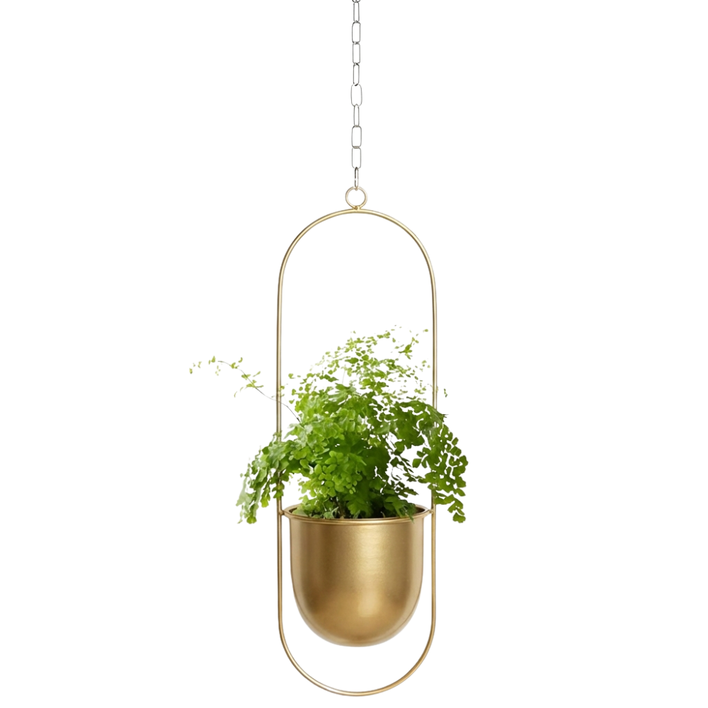 Stylish Hanging Planter with Chain and Hook for Indoor/Outdoor Use