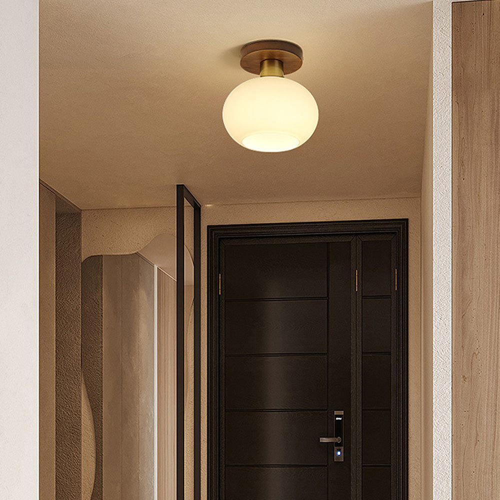 Sleek Ceiling Light Fixture for Modern Entrances and Hallways