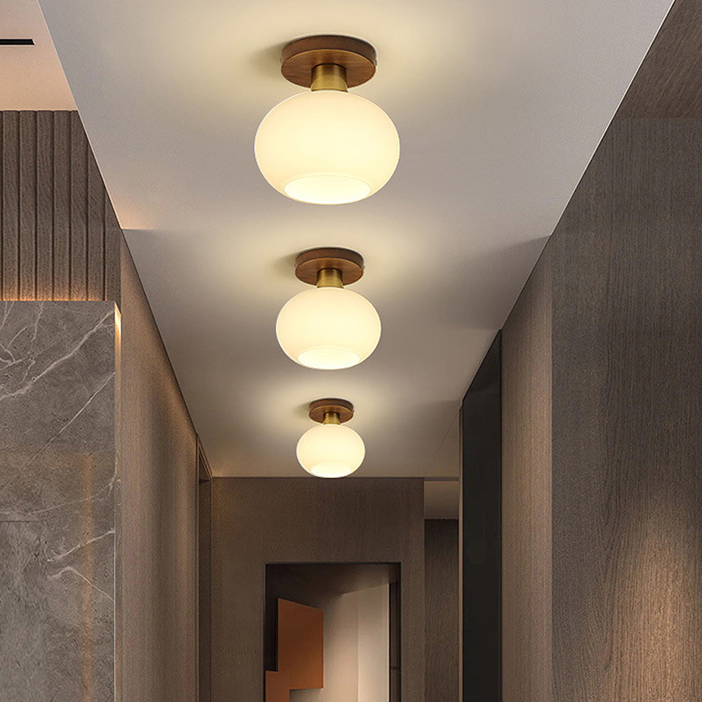 Sleek Ceiling Light Fixture for Modern Entrances and Hallways