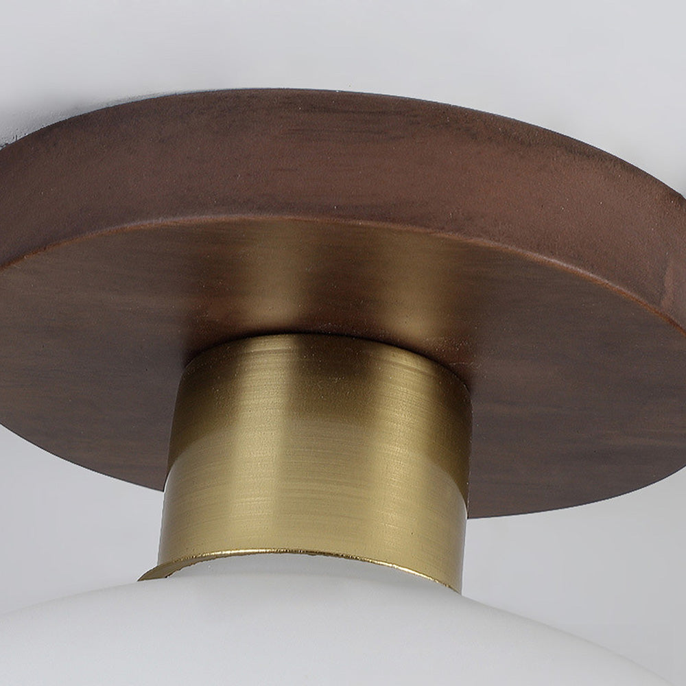 Sleek Ceiling Light Fixture for Modern Entrances and Hallways