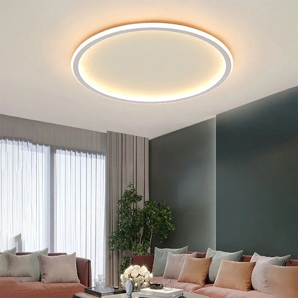Contemporary Ceiling Fixture - Room Illumination