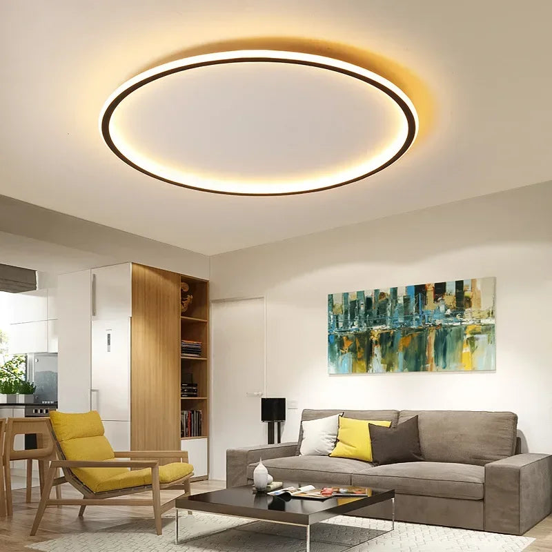 Contemporary Ceiling Fixture - Room Illumination