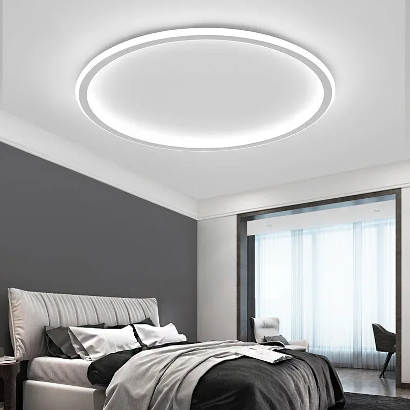 Contemporary Ceiling Fixture - Room Illumination