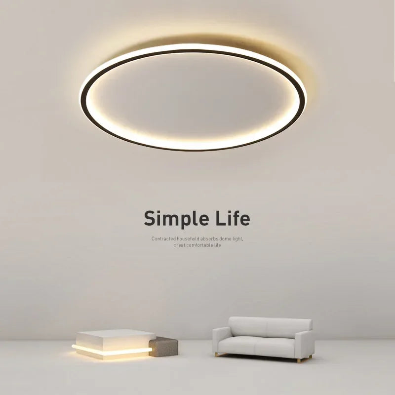 Contemporary Ceiling Fixture - Room Illumination